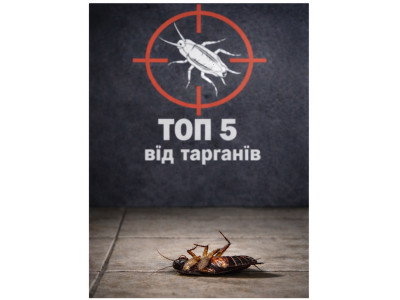 Топ 5 засобів від тарганів