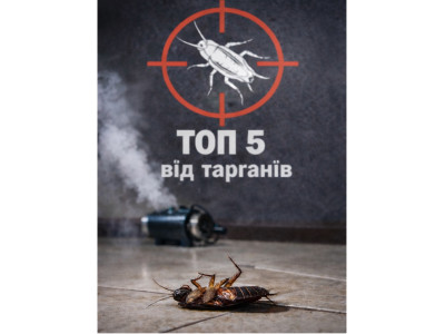 Топ 5 інсектицидів від тарганів